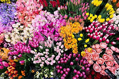 《卧龙：苍天陨落》采访新情报 有中国员工参与开发