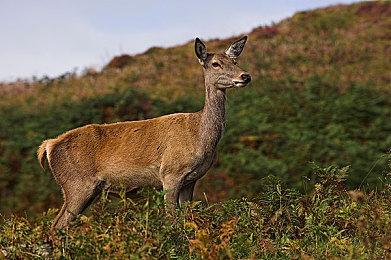 《铁拳8》媒体评分解禁 M站均分90